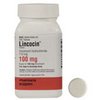 quality-online-pharmacy-Lincocin quality-online-pharmacy-Lincocin